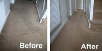 Lush Carpet and Upholstery Cleaning 355257 Image 1